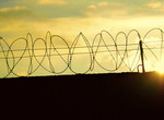 barbed wire